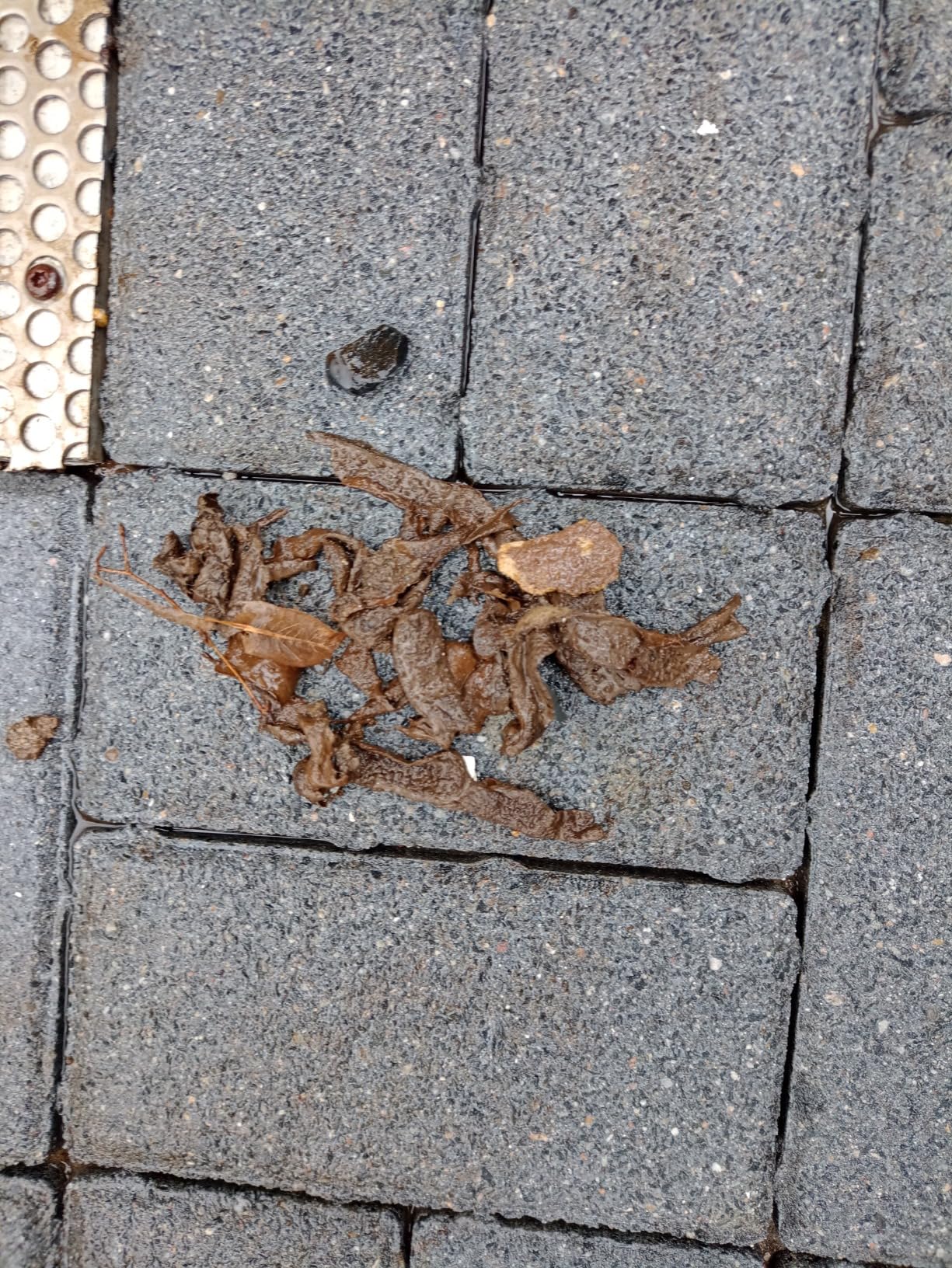 Endlich kein Tropfen mehr
