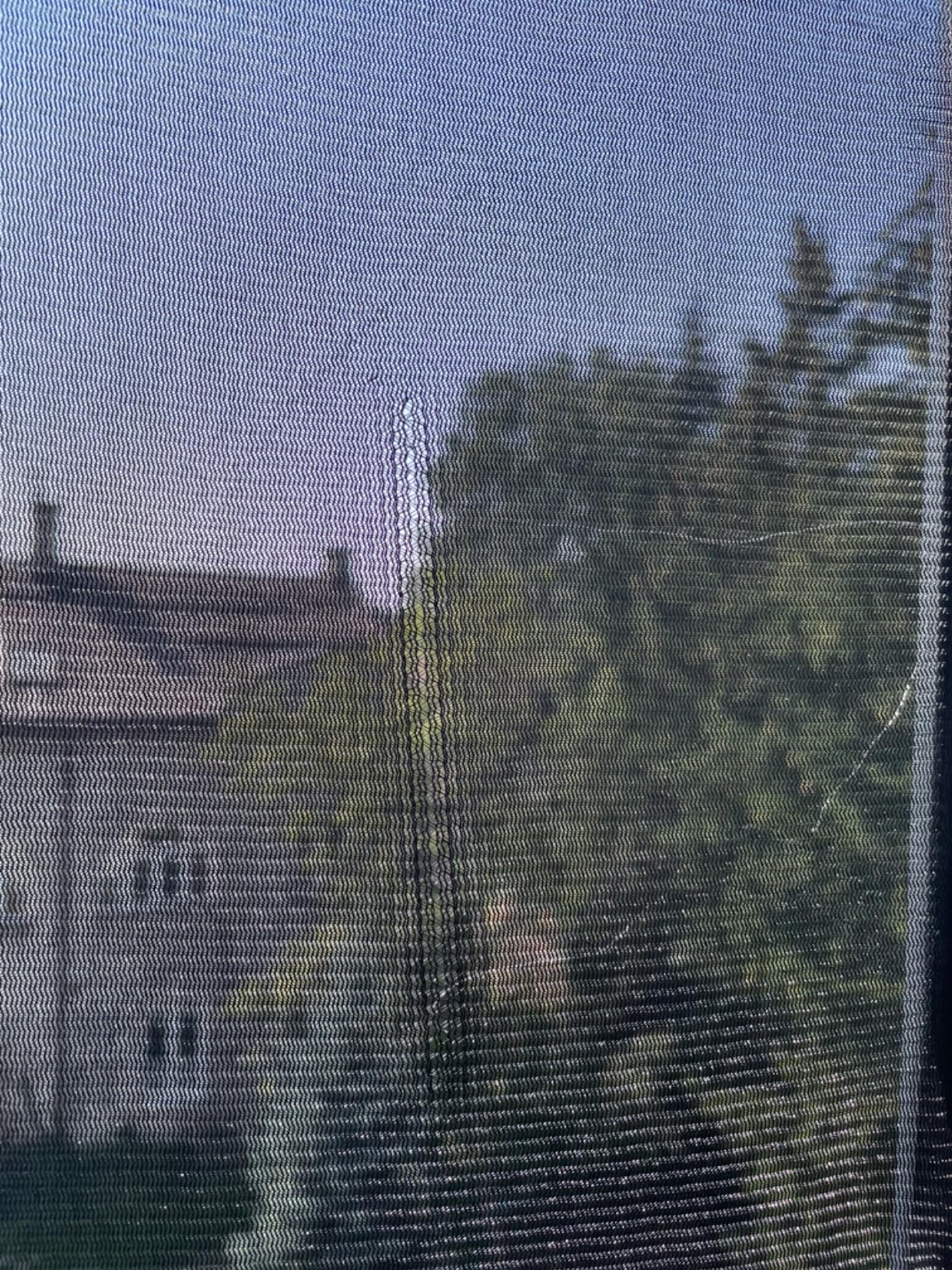 Endlich Ruhe vor Mücken
